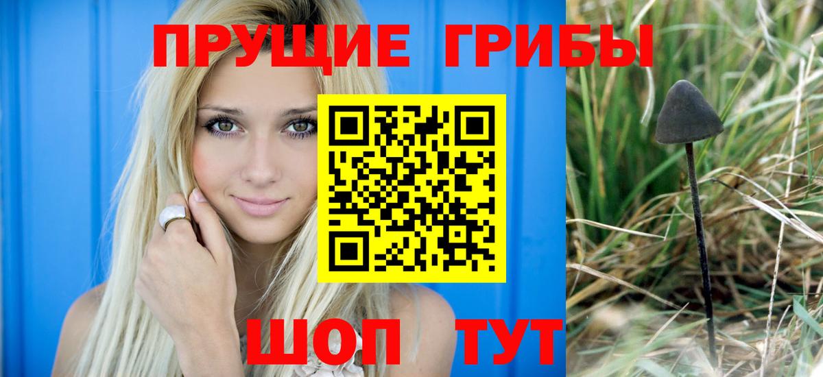Галлюциногенные грибы ЛСД Новочебоксарск